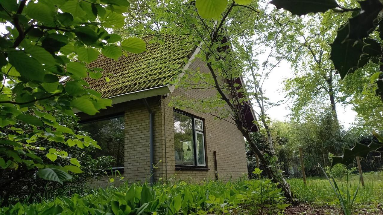 Vechtdalhuisje 17 Ommen Extérieur photo